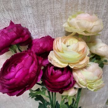 СТРЪК РАНУНКУЛОС - 2 ЦВЯТА