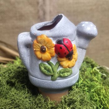 ПРИСПОСОБЛЕНИЕ ЗА ПОЛИВАНЕ НА САКСИЯ ЛЕЙКА - ЖИВИ ЦВЕТЯ