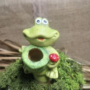 ПРИСПОСОБЛЕНИЕ ЗА ПОЛИВАНЕ НА САКСИЯ ЖАБКА - ЖИВИ ЦВЕТЯ