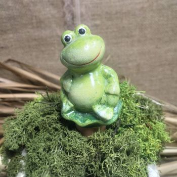 ПРИСПОСОБЛЕНИЕ ЗА ПОЛИВАНЕ НА САКСИЯ ЖАБКА - ЖИВИ ЦВЕТЯ