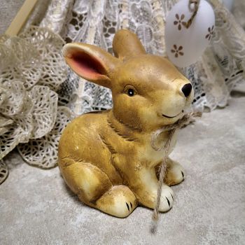 КАСИЧКА ЗАЙЧЕ