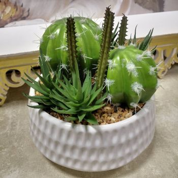 ИЗКУСТВЕНИ КАКТУСИ В КАШПА