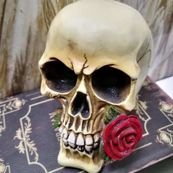 ФИГУРА / КАСИЧКА ЧЕРЕП - ПИРАТИ И РОЗИ