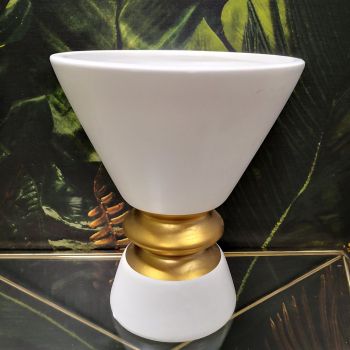 ВАЗА - ЗЛАТЕН РИНГ