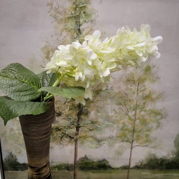 ИЗКУСТВЕН КЛОН - ЛЮЛЯК В ГРАДИНАТА