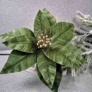 СТРЪК КОЛЕДНА ЗВЕЗДА - ЦВЕТЕТО НА ПРАЗНИКА