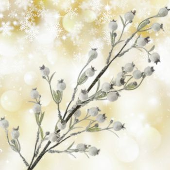 Коледна клонка в бяло и зелено със заскрежен ефект 65 см 