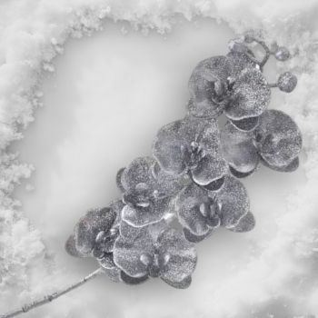 ДЕКОРАТИВЕН БРУКАТЕН СТРЪК ОРХИДЕЯ - БЛЯСЪК В НОЩТА