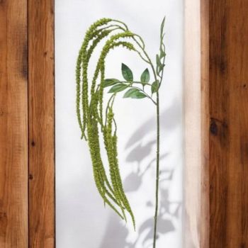 ИЗКУСТВЕН КЛОН - АМАРАНТУС