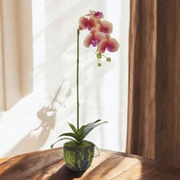 ИЗКУСТВЕНА ОРХИДЕЯ 65 СМ 