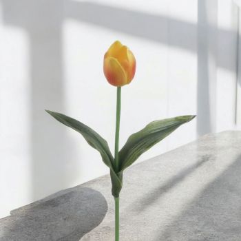 СТРЪК ЖЪЛТО ЛАЛЕ