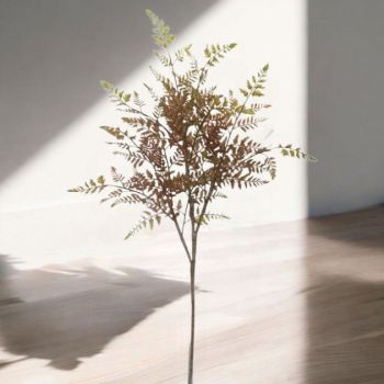 КЛОНКА ОТ ПАПРАТ 108 СМ