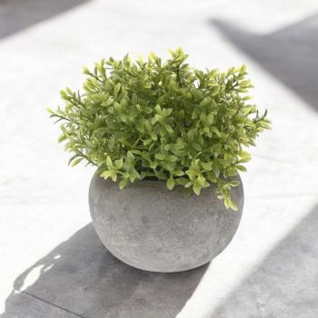 ИЗКУСТВЕНО РАСТЕНИЕ В КАШПА 13 СМ 