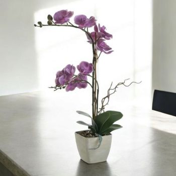 ИЗКУСТВЕНА ОРХИДЕЯ В КАШПА