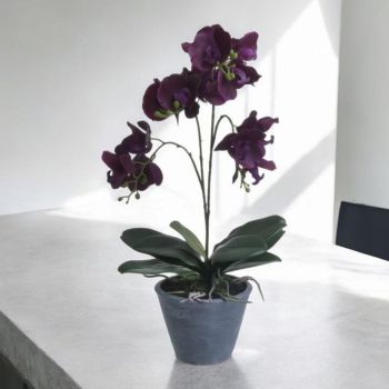 ИЗКУСТВЕНА ОРХИДЕЯ В КАШПА