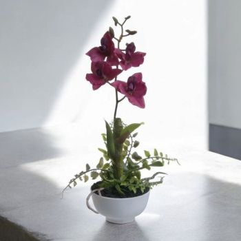ИЗКУСТВЕНА ОРХИДЕЯ В КАШПА - ЦВЯТ ФУКСИЯ