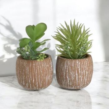 ИЗКУСТВЕНО СУКУЛЕНТНО РАСТЕНИЕ В КАШПА