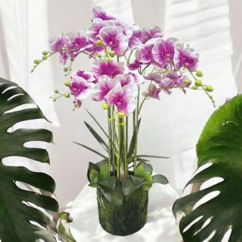 ИЗКУСТВЕНИ ОРХИДЕИ В ОРАНЖИРОВКА 80см - НЕЖНОСТ И КРАСОТА
