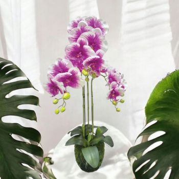 ИЗКУСТВЕНИ ОРХИДЕИ В ОРАНЖИРОВКА 82см - НЕЖНОСТ И КРАСОТА