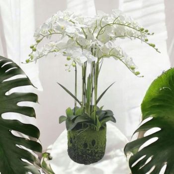 ИЗКУСТВЕНИ ОРХИДЕИ В ОРАНЖИРОВКА 80см - НЕЖНОСТ И КРАСОТА