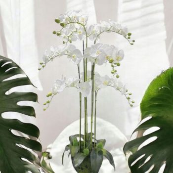 ИЗКУСТВЕНИ ОРХИДЕИ В ОРАНЖИРОВКА 118см - НЕЖНОСТ И КРАСОТА