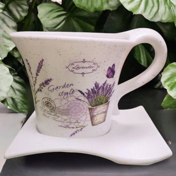 САКСИЯ С ЧИНИЯ - ПРОЛЕТНА ГРАДИНА