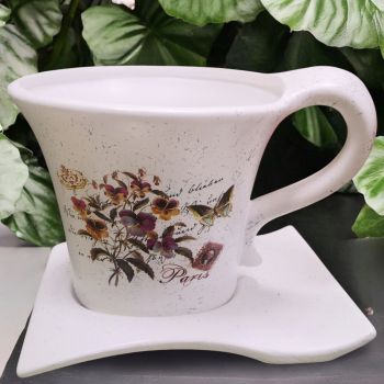 САКСИЯ С ЧИНИЯ - ПРОЛЕТНА ГРАДИНА