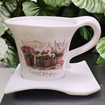 САКСИЯ С ЧИНИЯ - ПРОЛЕТНА ГРАДИНА