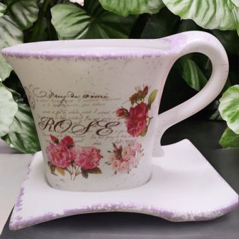 САКСИЯ С ЧИНИЯ - ПРОЛЕТНА ГРАДИНА