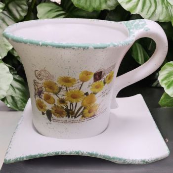 САКСИЯ С ЧИНИЯ - ПРОЛЕТНА ГРАДИНА