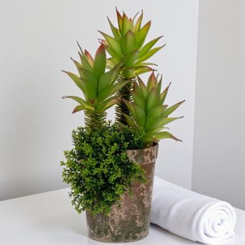 ИЗКУСТВЕНА ЗЕЛЕНИНА В САКСИЯ - ПРИРОДА И ДОМ