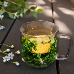 ТЕРМО ЧАША С ДВОЙНИ СТЕНИ - ПРИРОДА В АКВАРИУМ