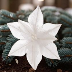 ЛУКСОЗЕН СТРЪК  КОЛЕДНА ЗВЕЗДА - ПРАЗНИЧНИ  ЦВЕТЯ