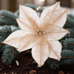 ЛУКСОЗЕН СТРЪК  КОЛЕДНА ЗВЕЗДА - ПРАЗНИЧНИ  ЦВЕТЯ