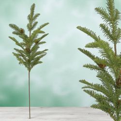 КЛОНКА ЗЕЛЕНА 75