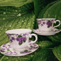 СЕРВИЗ ЗА КАФЕ 2 чаши + 2 чинийки - СИНЕОКИ ГОРСКИ ТЕМЕНУГИ