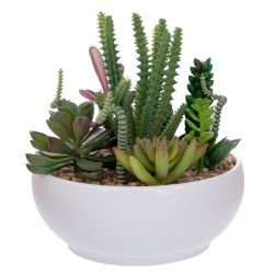 ИЗКУСТВЕНИ САКУЛЕНТНИ РАСТЕНИЯ В КАШПА - РЕАЛЕН ДОПИР 