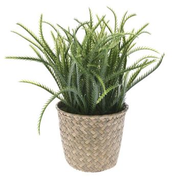 ИЗКУСТВЕНО РАСТЕНИЕ В РАТАНОВА КАШПА  28 сСМ