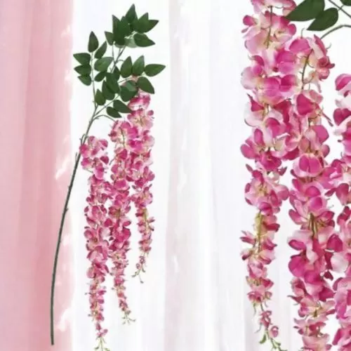 Клон акация 150 см циклама