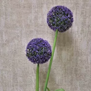 ИЗКУСТВЕН СТРЪК С ДВЕ ТОПКИ ЛИЛАВИ ЦВЕТОВЕ