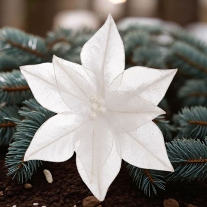 ЛУКСОЗЕН СТРЪК  КОЛЕДНА ЗВЕЗДА - ПРАЗНИЧНИ  ЦВЕТЯ