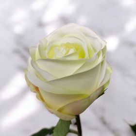 ИЗКУСТВЕН СТРЪК РОЗА - РЕАЛЕН ДОПИР