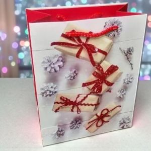 КОЛЕДНА ПОДАРЪЧНА ТОРБИЧКА 28см*18см*10см / 4 дизайна / - БЛЯСЪК В ЧЕРВЕНО 