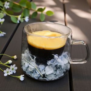 ТЕРМО ЧАША С ДВОЙНИ СТЕНИ - ПРИРОДА В АКВАРИУМ