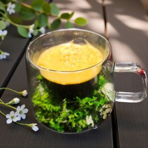 ТЕРМО ЧАША С ДВОЙНИ СТЕНИ - ПРИРОДА В АКВАРИУМ