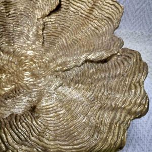 АРТ ФРУКТИЕРА РАЗЦЪФНАЛО ЦВЕТЕ - ПРОЛЕТНО УХАНИЕ