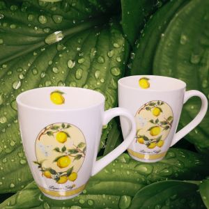 КОМПЛЕКТ ОТ 2 броя ЧАШИ 300мл - ЛИМОНИ, ЛИМОНАДА, ЛИМОНЧЕЛО