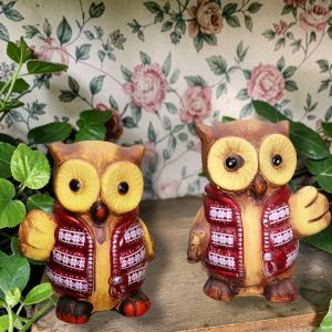 ФИГУРКА БУХАЛЧЕ /избор от 2 варианта / - УМЕН И ЗАБАВЕН 