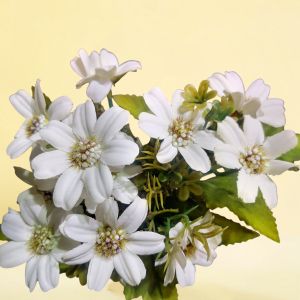 БУКЕТЧЕ ОТ НЕЖНИ МАРГАРИТКИ - ПРОЛЕТНИ УТРИНИ