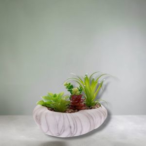 ИЗКУСТВЕНИ САКУЛЕНТНИ РАСТЕНИЯ В КАШПА - РЕАЛЕН ДОПИР 